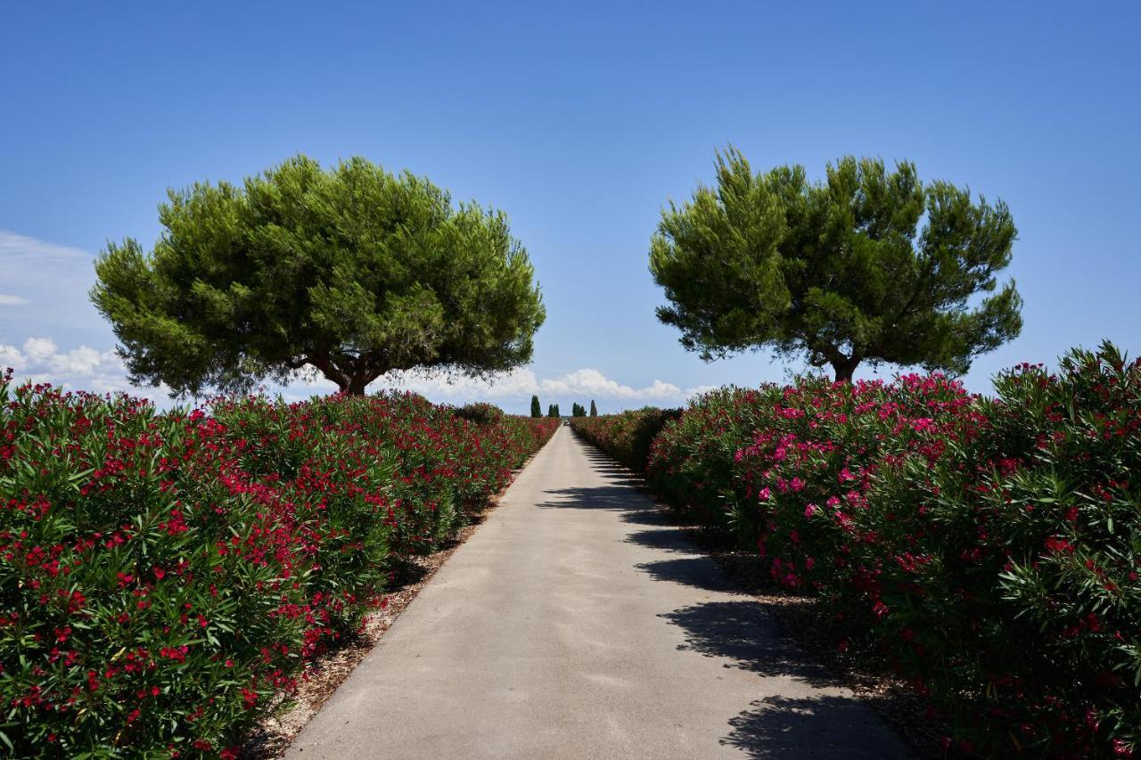 Masseria Bagnara Resort & Spa Marina di Lizzano Eksteriør billede